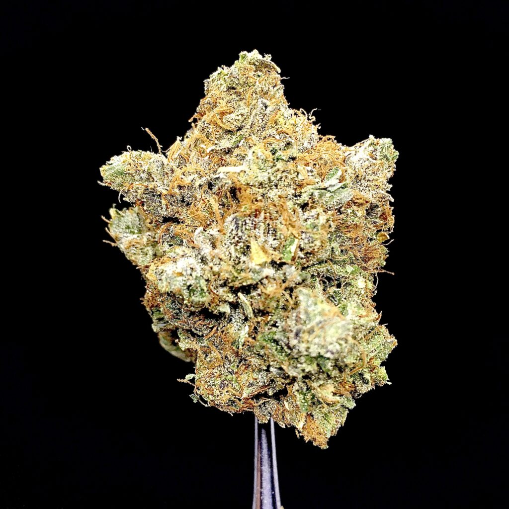 Pink Wagyu 5 Star/Immaculate Rare Chronic Craft Indica - Kind Flowers ...